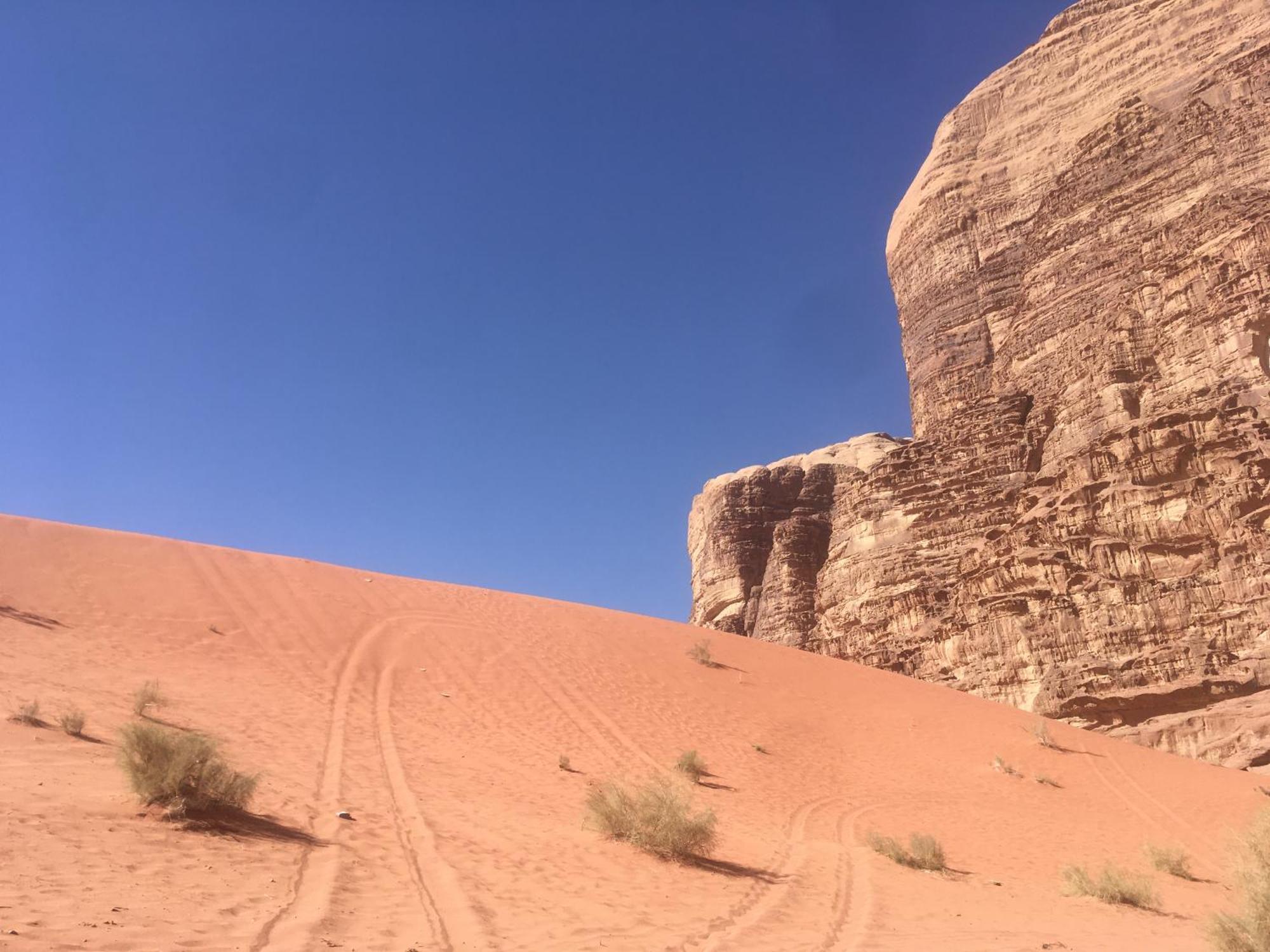 Wild Of Wadi Rum Exterior photo