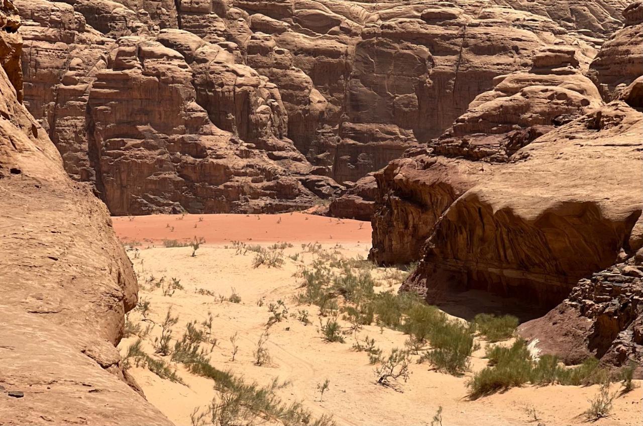 Wild Of Wadi Rum Exterior photo