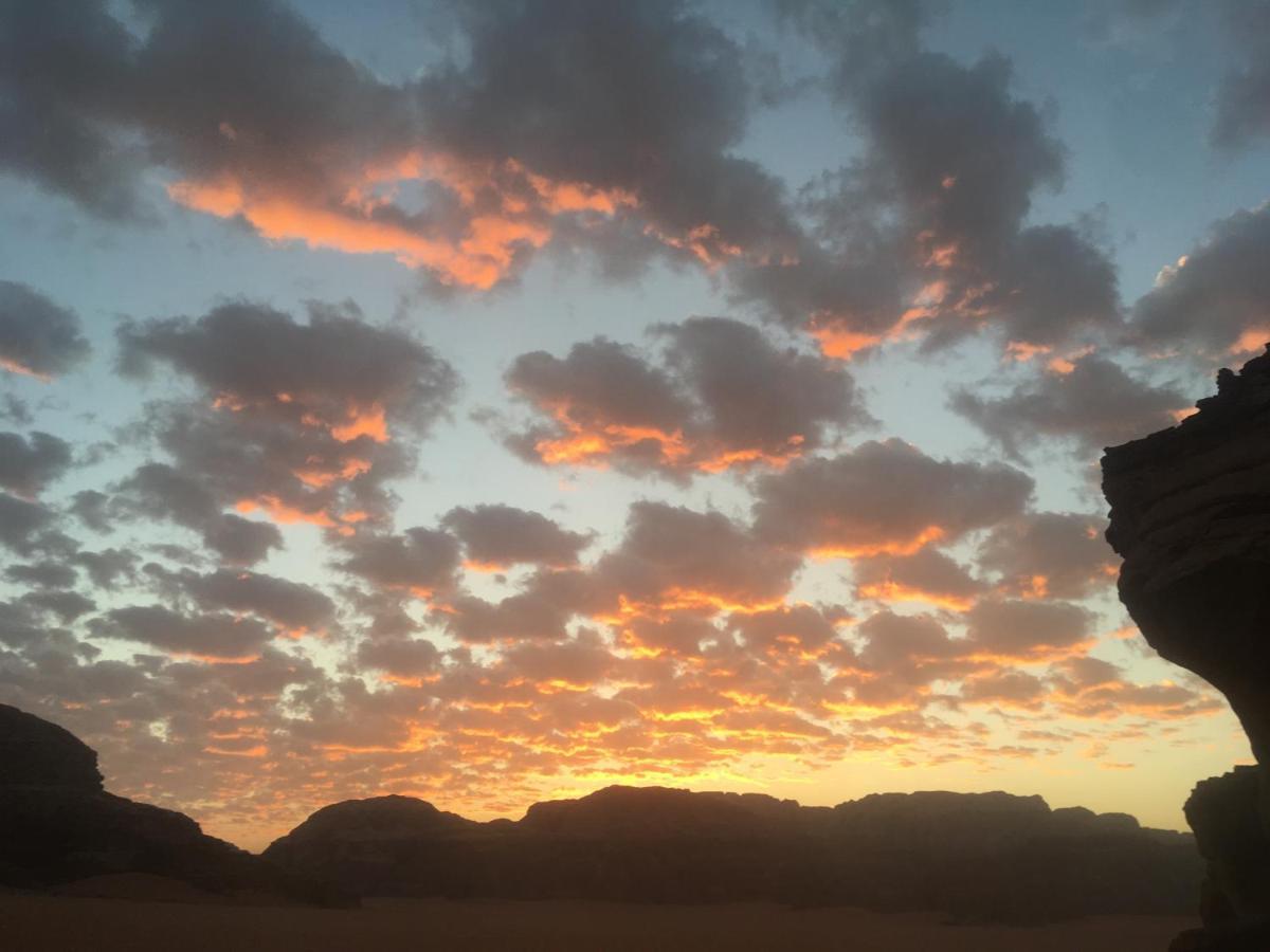 Wild Of Wadi Rum Exterior photo