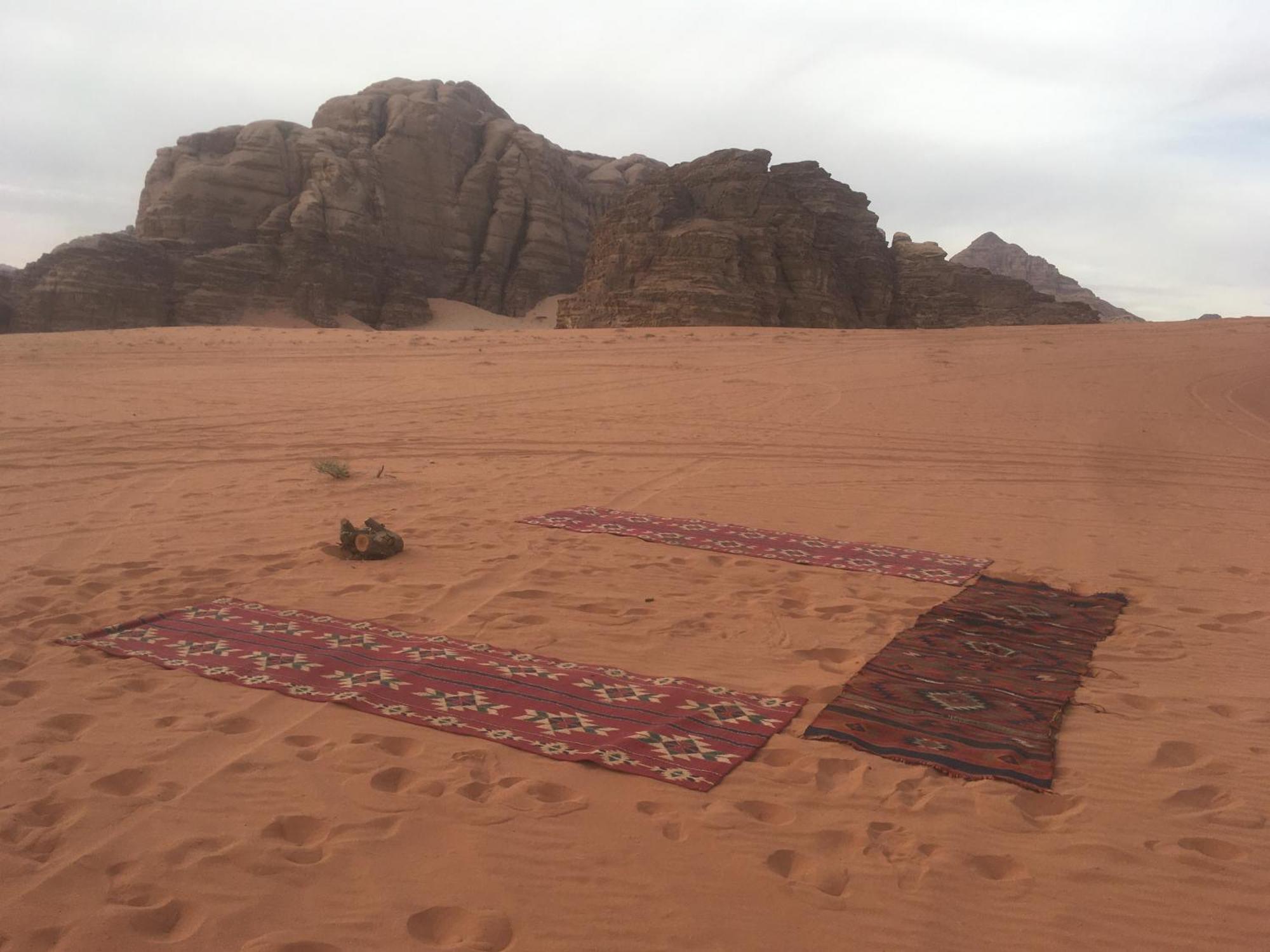 Wild Of Wadi Rum Exterior photo