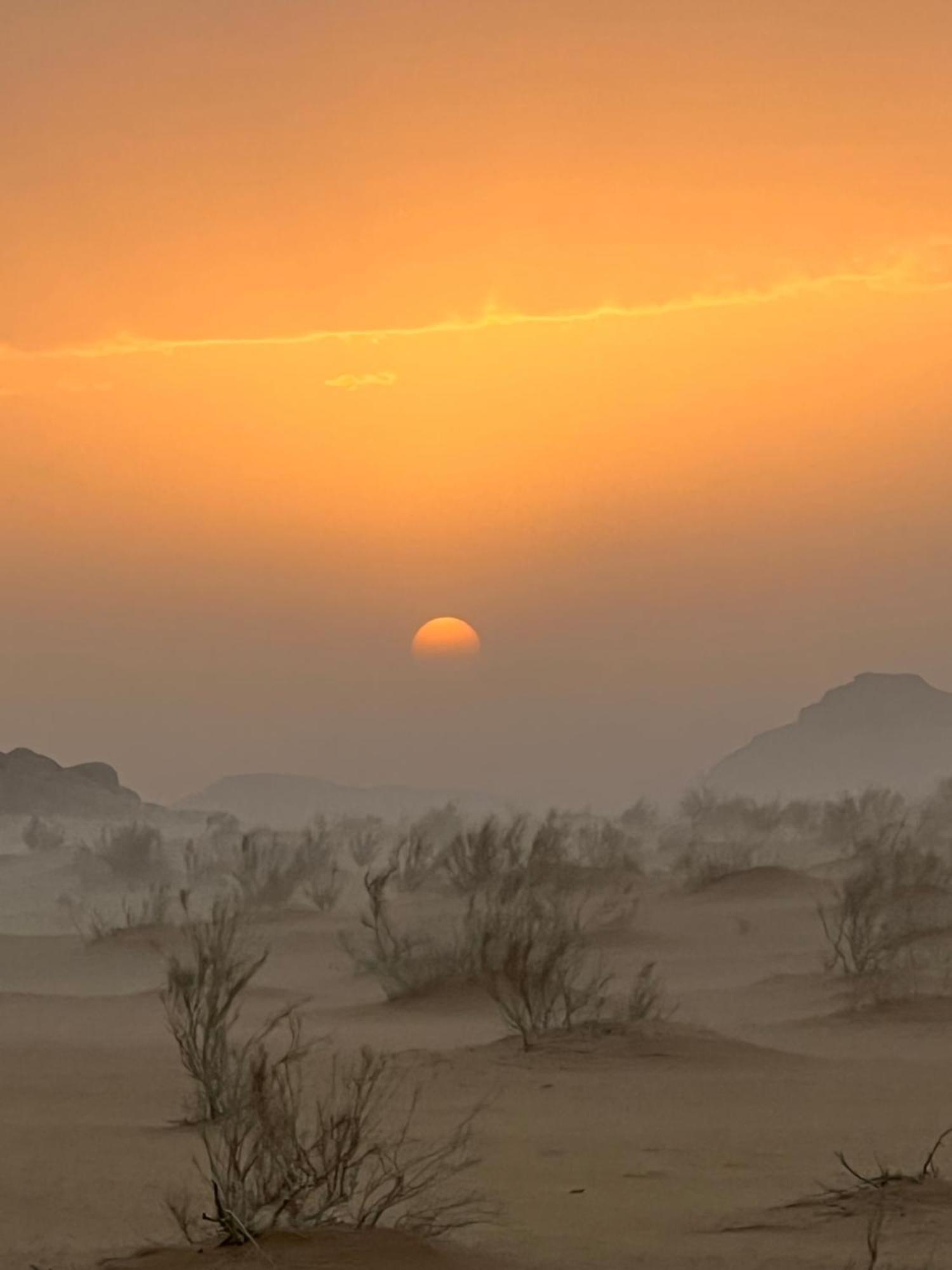 Wild Of Wadi Rum Exterior photo
